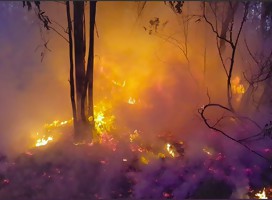 Nuevamente, incendios en la zona adyacente a Gaza.