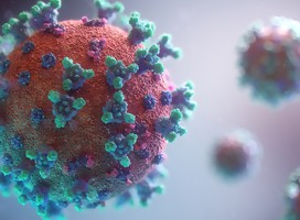 Sobre el coronavirus