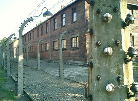 https://commons.wikimedia.org/wiki/File:Campo_de_concentracion_Auschwitz-Polonia0066.JPG#/media/Archivo:Campo_de_concentracion_Auschwitz-Polonia0066.JPG