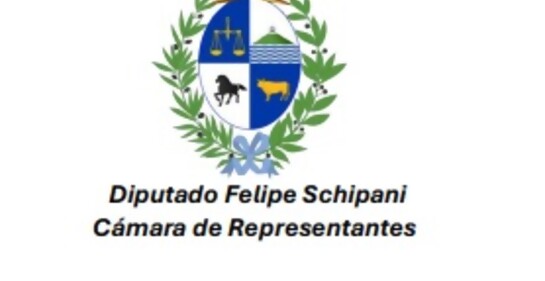 Carta del diputado  Felipe Schiapani al Presidente de la Comisión y Cultura de la Cámara de Representantes Felipe Algorta